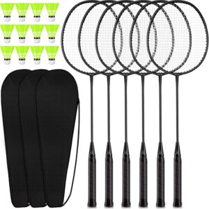 6-Racket Badminton Set